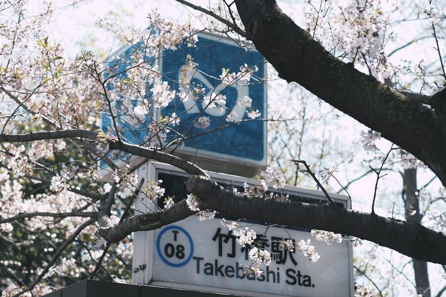 Cherry blossoms surrounding the Takebashi Station sign in Tokyo Japan