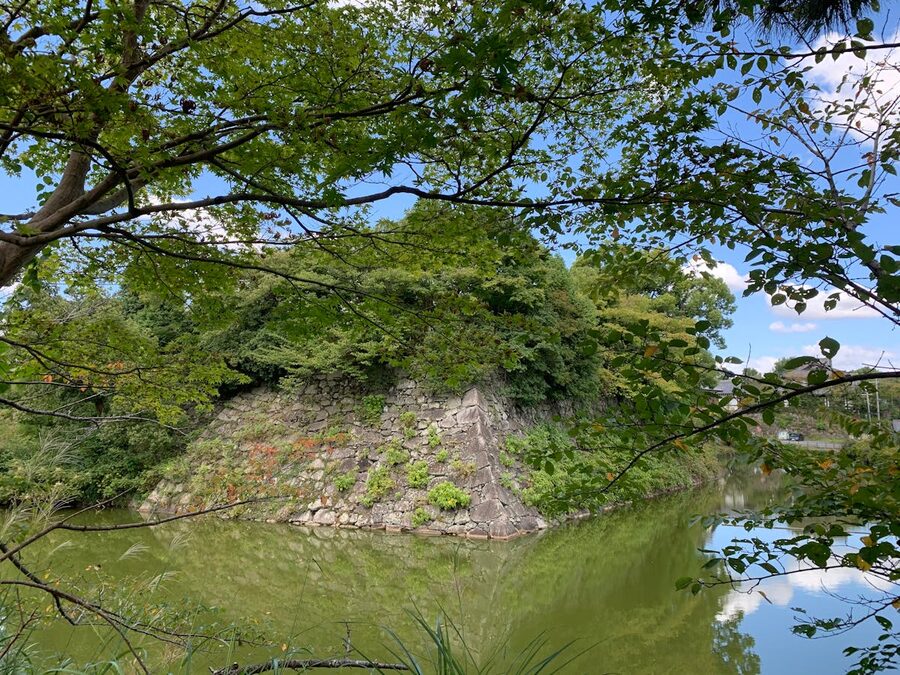 Stone fortification wall next to a moat with greenery in a historic Japanese setting