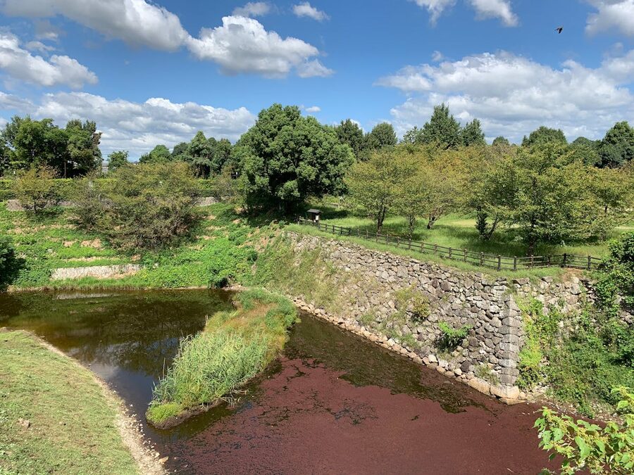 Serene summer landscape with lush trees and stone castle walls next to a calm pond in Japan