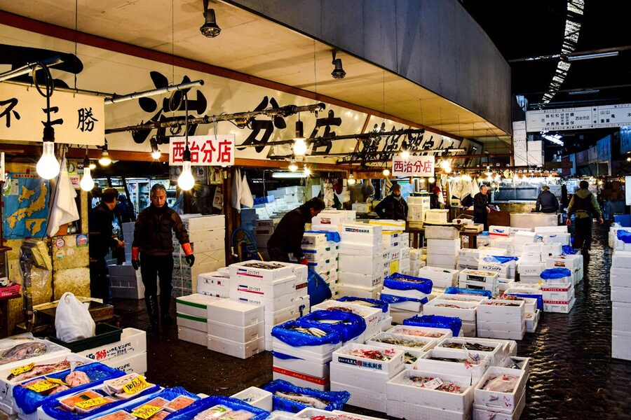 Fresh seafood on display at Tsukiji Fish Market stalls in Tokyo