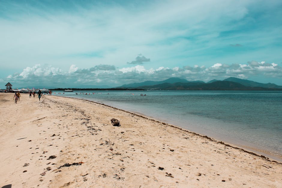 Tropical beach in Palawan with clear blue water and palm trees