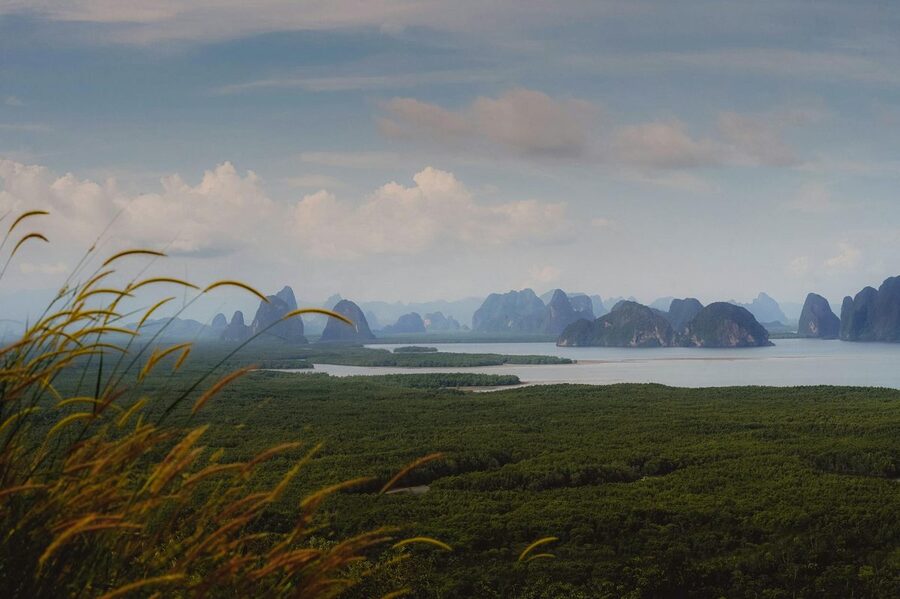 Dramatic rock formations surrounded by tropical forests in Phang Nga Bay