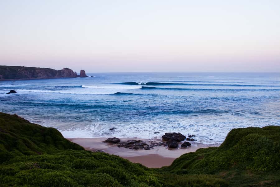 Phillip Island: Hike and Penguin Parade - 8 pax Small Tour - Pricing and Value Analysis