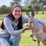 Phillip Island Penguin Parade and Wildlife Tour from Melbourne - A Deep Dive into the Itinerary