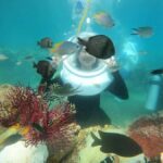 Phu Quoc 4 Islands Snorkeling Tour With Hon Thom Cable Car - The Experience: What You Can Expect