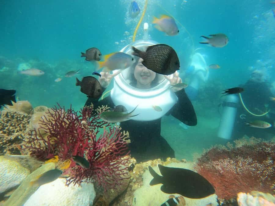 Phu Quoc 4 Islands Snorkeling Tour With Hon Thom Cable Car - The Experience: What You Can Expect