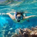 Phu Quoc Full-Day Canoe and Hon Thom Cable Ride - The Practical Side: Transportation, Value, and Group Size