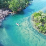 Phu Quoc Full Day Tour in Cua Can River - What Makes This Tour Stand Out?