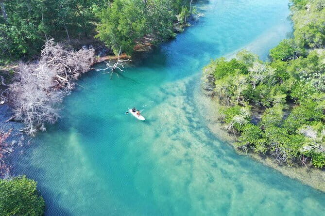 Phu Quoc Full Day Tour in Cua Can River - What Makes This Tour Stand Out?