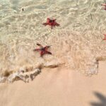 Phu Quoc North Island & Kayaking Tour - Exploring the Itinerary in Detail