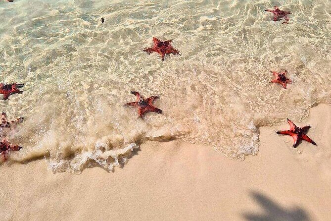 Phu Quoc North Island & Kayaking Tour - Exploring the Itinerary in Detail