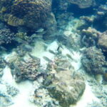 PHU QUOC TRIP 2: 2 ISLANDS BY BOAT - The Itinerary in Detail