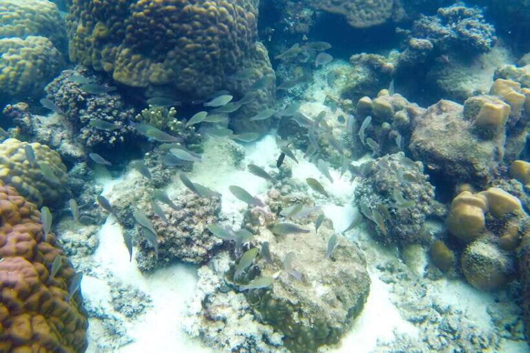 PHU QUOC TRIP 2: 2 ISLANDS BY BOAT - The Itinerary in Detail