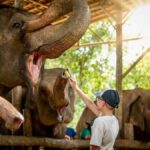 Phuket: Guided Tour with ATV Ride and Elephant Sanctuary - Practical Details & Considerations