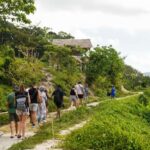 Phuket: Half-Day Ethical Elephant with Meal and Transfer - An Honest Dive into the Experience