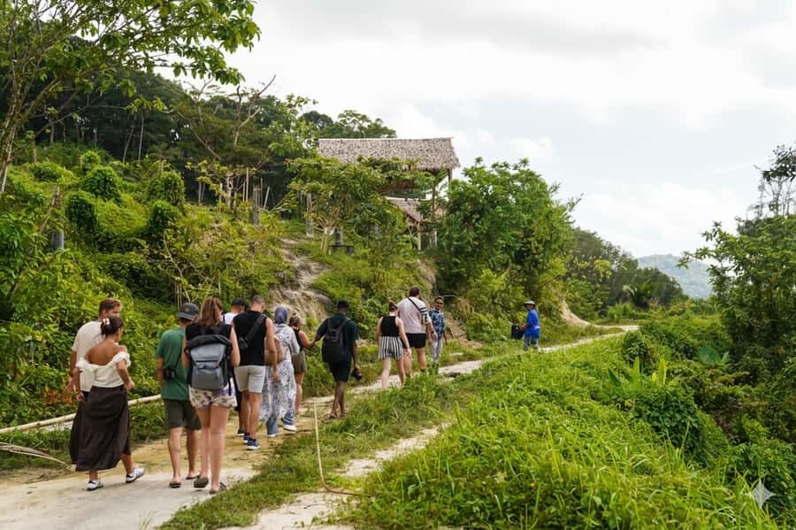 Phuket: Half-Day Ethical Elephant with Meal and Transfer - An Honest Dive into the Experience