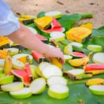 Phuket: Lily Elephant Conservation - Jungle to Sea Discovery - The Itinerary in Detail