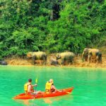 Phuket or Anywhere: 2-Days Cheow Lan Lake Tour & Raft-Resort - What Makes This Tour Stand Out?