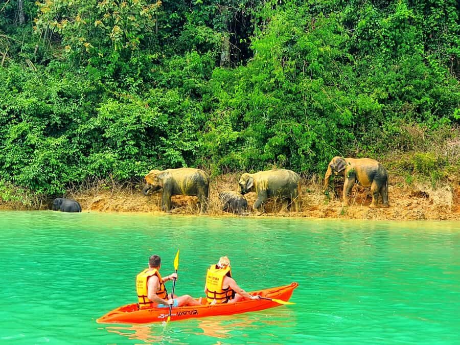 Phuket or Anywhere: 2-Days Cheow Lan Lake Tour & Raft-Resort - What Makes This Tour Stand Out?