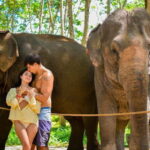 Phuket:Beach walk with elephants, rain & care. 2.5 hours - Authentic Insights from Visitors