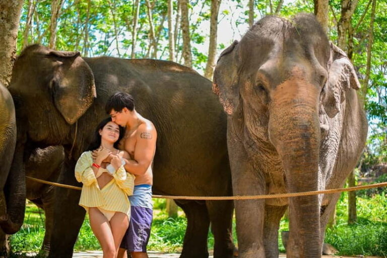 Phuket:Beach walk with elephants, rain & care. 2.5 hours - Authentic Insights from Visitors