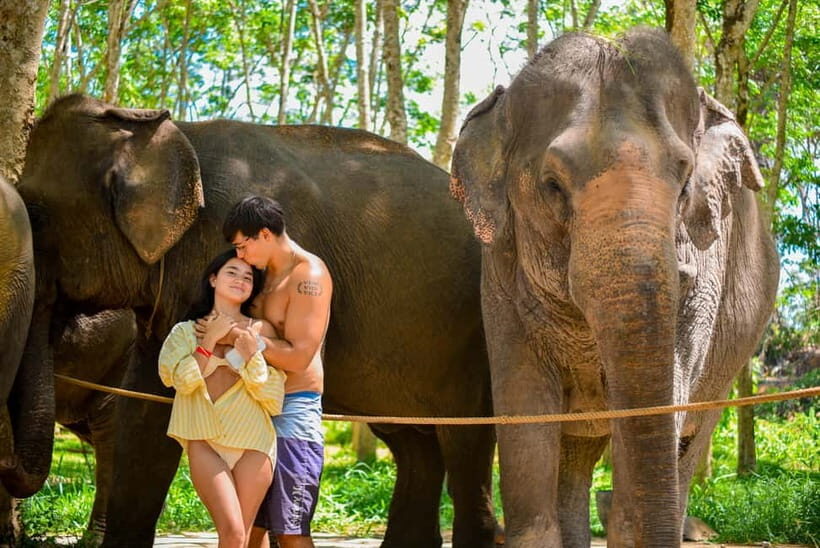 Phuket:Beach walk with elephants, rain & care. 2.5 hours - Authentic Insights from Visitors