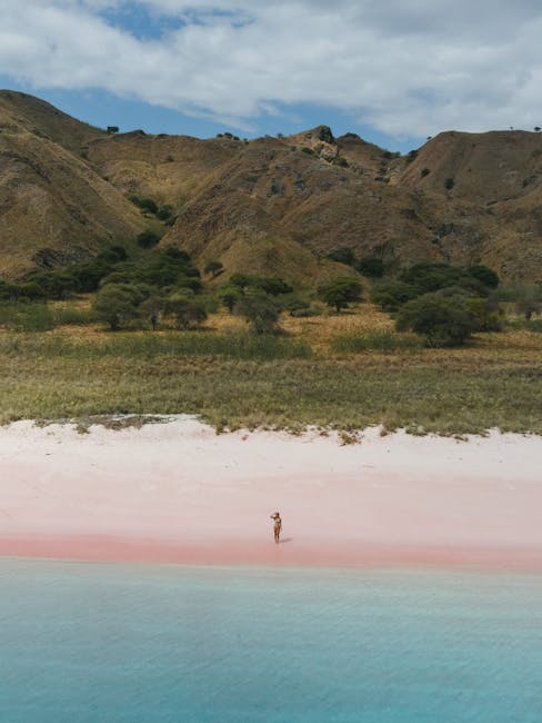 Pink Beach at Komodo National Park