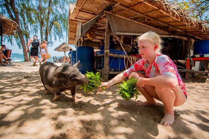 Pink Dolphin and Pig Island Snorkeling Tour from Koh Samui - Group Size and Accessibility