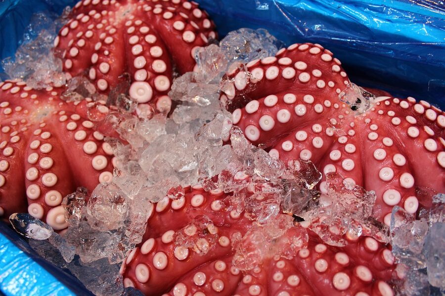 Fresh red octopus displayed at Tsukiji market in Tokyo