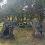 Plain of jars share group tour - Why the Tour Offers Great Value