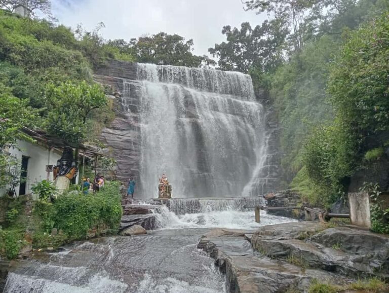 Plantations Tuk-Tuk Tour in Nuwara Eliya - Transportation and Group Dynamics