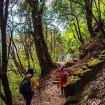 Pokhara: 2-Day Poon Hill Sunrise Trek with Lady Guide - The Itinerary Breakdown: From Pokhara to Poon Hill and Back