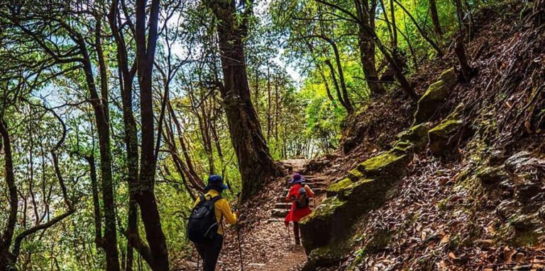 Pokhara: 2-Day Poon Hill Sunrise Trek with Lady Guide - The Itinerary Breakdown: From Pokhara to Poon Hill and Back
