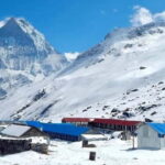 Pokhara: 5-Day Annapurna Base Camp Trek with Guide - What’s Included & What’s Not — Breaking Down the Value