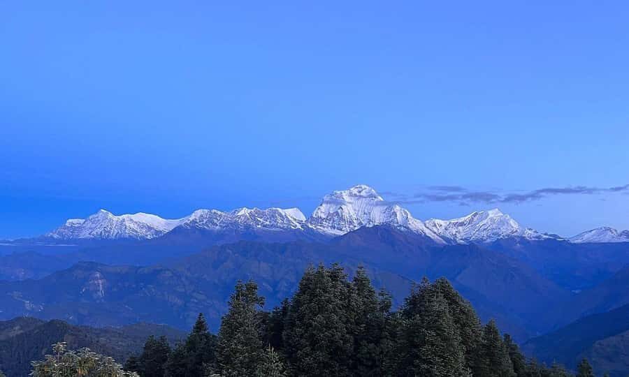 Pokhara: 5-Day Poon Hill Trek with Guide and Transfers - The Itinerary in Detail