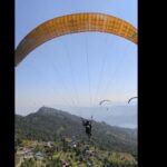 Pokhara: Paragliding, Zipline, Trek, and Fewa Lake Tour - Practical Details & Tips