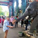 Pondicherry city sightseeing by Private vehicle - Why the Private Vehicle Makes a Difference