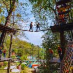 Pongyang Jungle Coaster & Zipline (Transfer) - The Itinerary and What to Expect