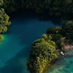 Portland Rio Grande Rafting & Boston Jerk Day Tour - The Value Proposition: Is the Tour Worth It?