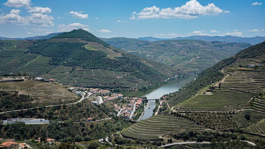 Aerial view of Douro Valley terraced vineyards