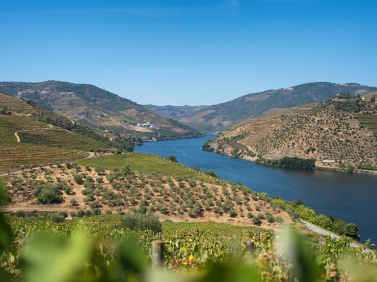 How to Book a 2 Wine Regions Farm-to-Table Tour from Porto