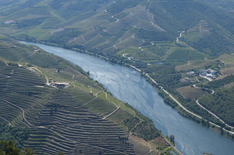 View of Porto with the Douro River and vineyards in the distance