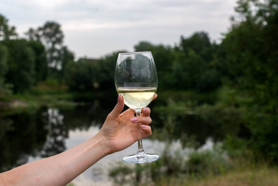 Glass of white wine held against a vineyard view