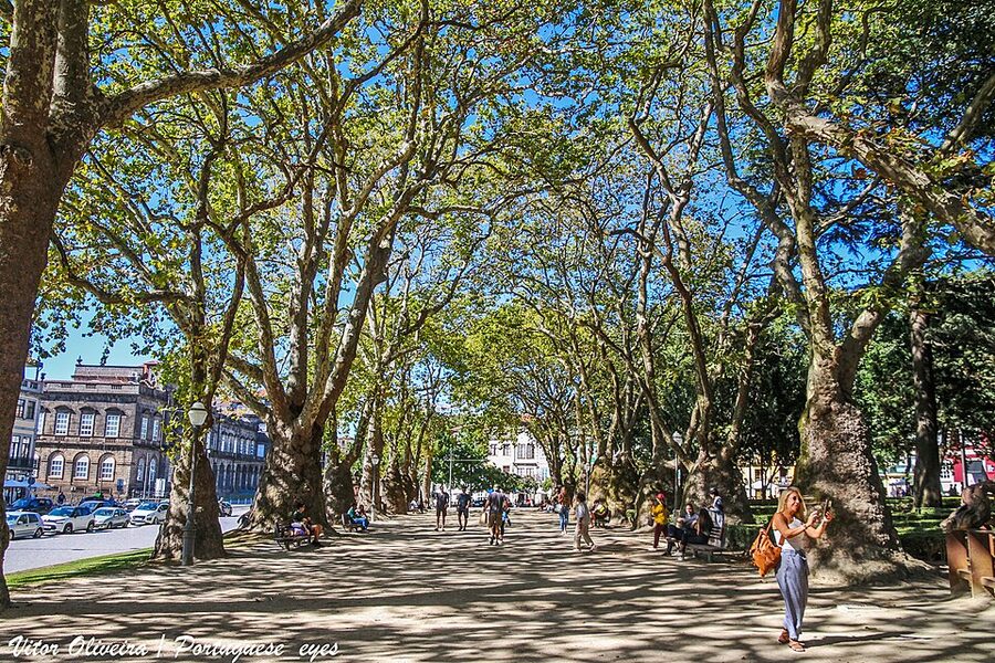 Jardim da Cordoaria gardens at Torre dos Clerigos
