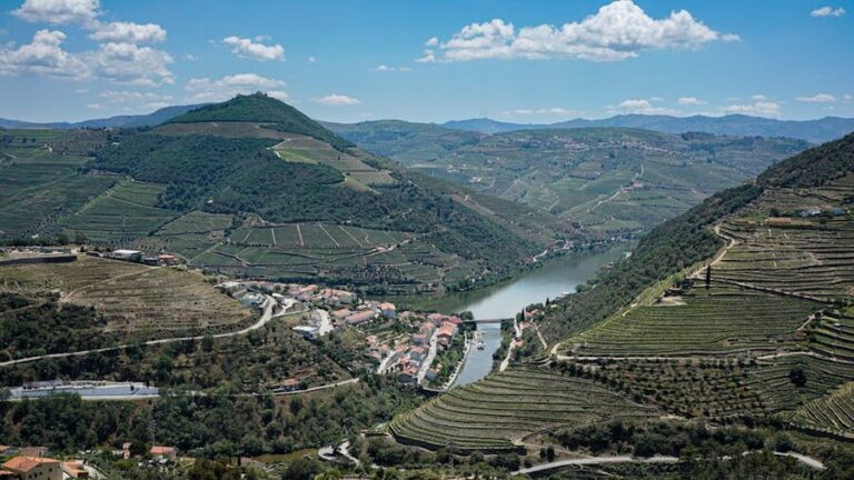 How to Book a Douro Valley Wine Tour from Porto