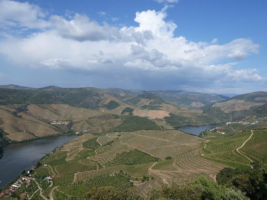 Alto Douro vineyards wide view Portugal river