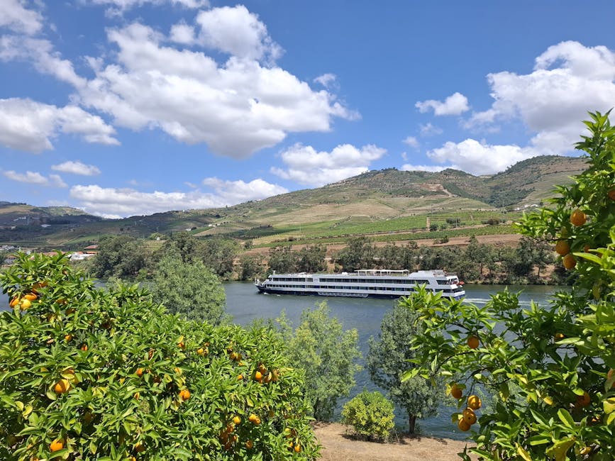 River cruise boat Douro River framed by orange trees Portugal