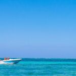 Private Activity Speedboat Ride and Snorkeling in Punta Cana - Practical Details and Logistics