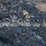 Private Adventure: A Day Hike Through Tiger Leaping Gorge - What to Expect During the Hike