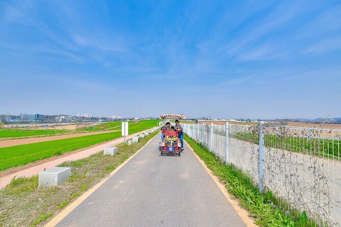 [Private] Anseong Farmland Flower Festival & Golden Buddha Temple - Anseong Farmland: A Floral Wonderland